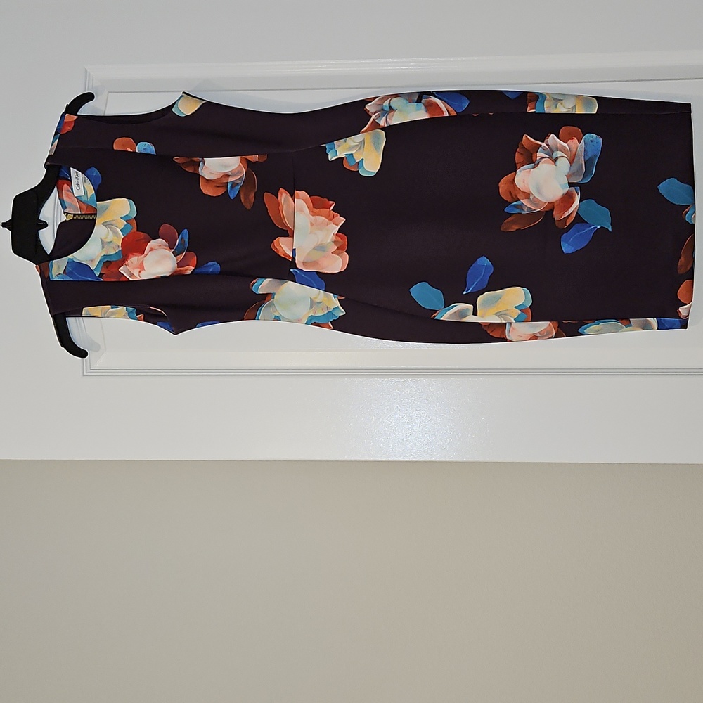 Calvin Klein Floral Sleeveless Dress - Multicolor. Women's Size 4
